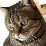 Oscar