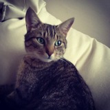 Léo