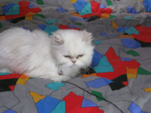 Au coucher du Soleil