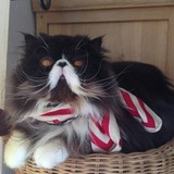 charlie