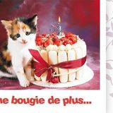 Merci les copinous