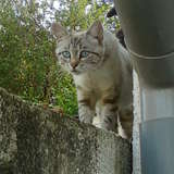 Louna ♥
