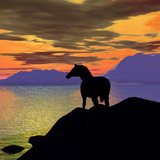 Horses lovers!