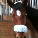 Oxanne