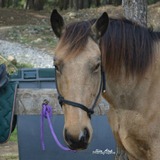 Ma morue♥.