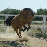 Coup de joie♥.