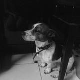 Shilo