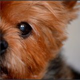 Dans un regard