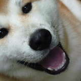 Hinoryuu Go dit Ikko* 
