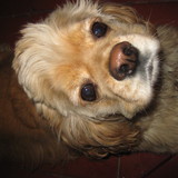 Emlie