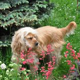 enfin, on peut aller dans le jardin