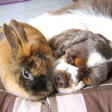 Pause tendresse !