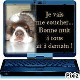Je vous souhaite une douce nuit