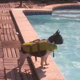 Allez hop, à l'eau !