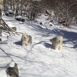 Samedi a la neige