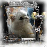 minet007
