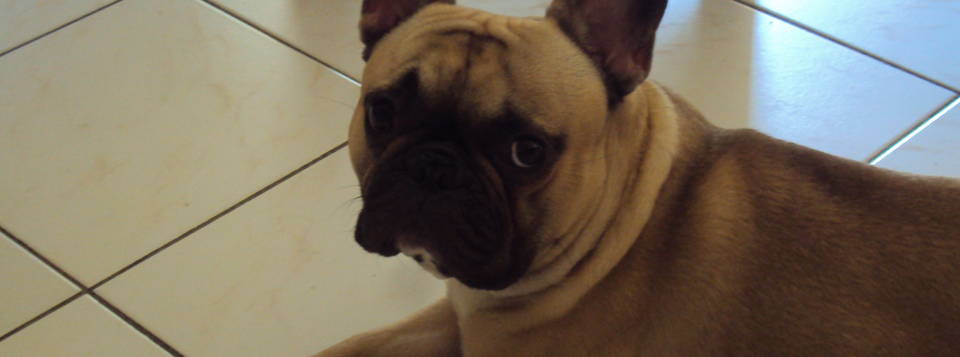 Johny