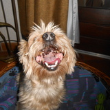 big smile :-)