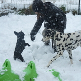 j'aime la neige !