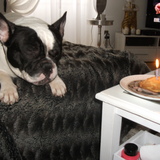 happy birthedayyyyyyyyyyyyyyy !! oui !oui mais je voudrai le manger moi le gâteau !t'as fini de chanter là!!!!!!!!!!