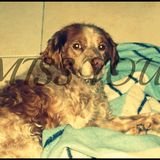 Tu me manques ♥