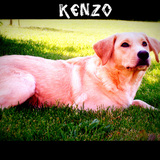 Kenzo