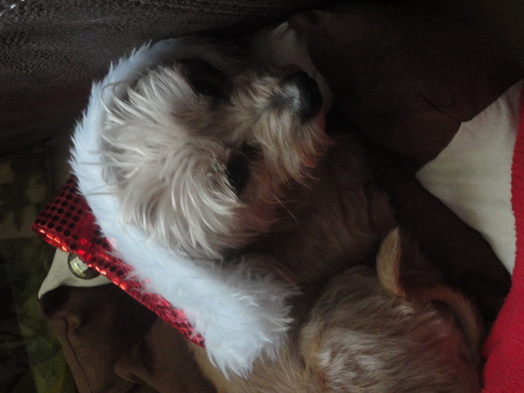 Au coucher du Soleil