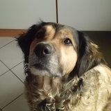 Sanka✿✿✿