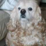 Lola