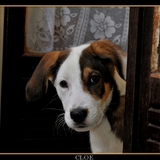Cloé