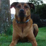 Jack