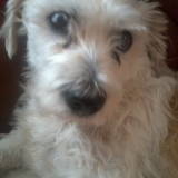 Betsy