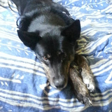 Xena