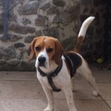 WALLY