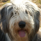 betty  