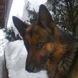 arrol <3