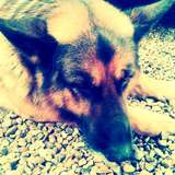 Fanzy 
