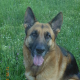 Farouk