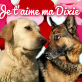 Je t'aime ma Dixie &hearts;