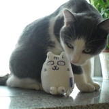 Gus je t'aime !!!!!!!!!!!