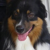 Butler