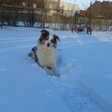 Heïvy dans la neige !