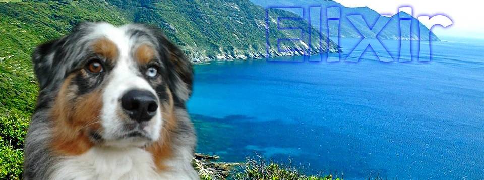 Elixir di Vita di u Vecchiu
