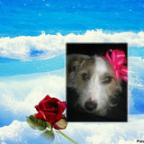 Pour EDEN &hearts;
