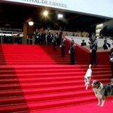 EDEN et moi au festival de Cannes !