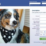 ELIXIR DI VITA sur FB
