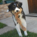 ♥... Diego...♥