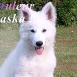 Alaska