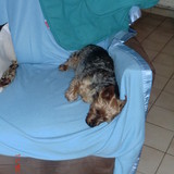 BONNE NUITEE A TOUS