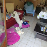 je remonte me coucher!
